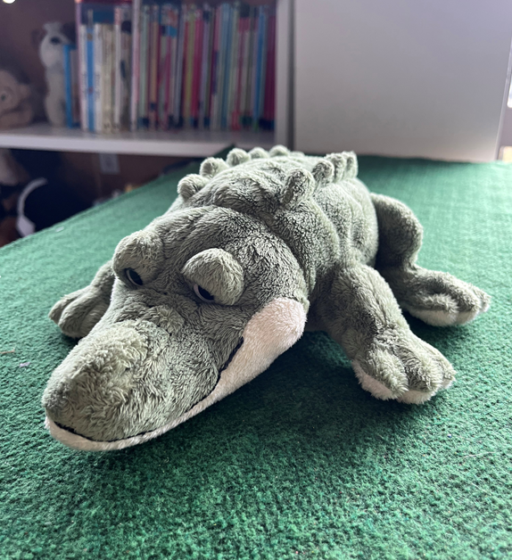 This is Ash Alligator and we are going to have so many fun things to learn together!